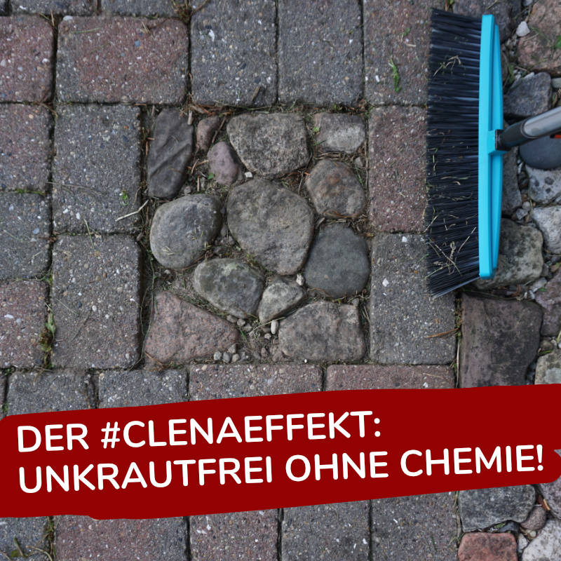 CLENA Hochdruckreiniger für Profis Heißwasser High pressure washer for professionals hot water