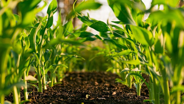 Hochdruckreiniger für die Landwirtschaft von CLENA Solutions